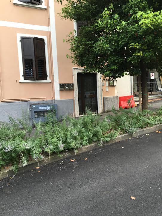 Appartamento I Sentieri 23 Riva del Garda Exteriör bild